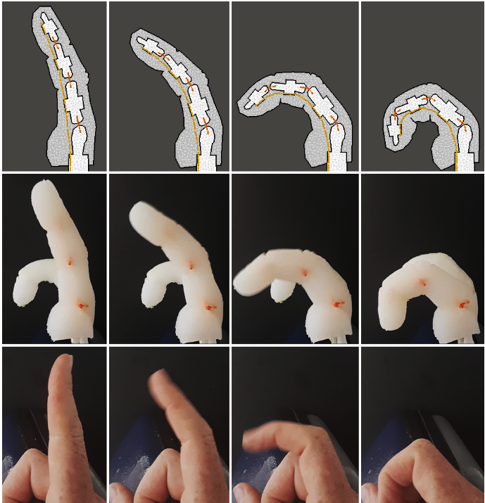 softRobotwSkeleton.png